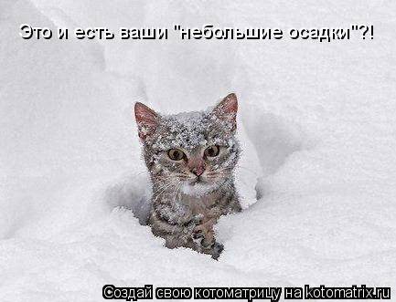 Лучшие котоматрицы… :)