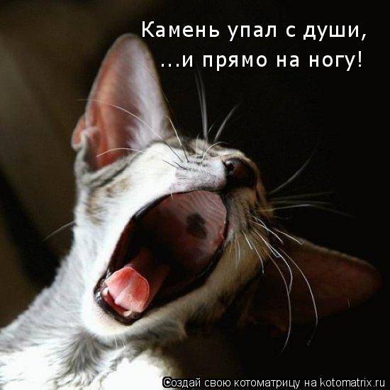 Лучшие котоматрицы… :)