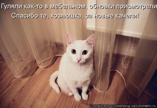 Котоматричные коты