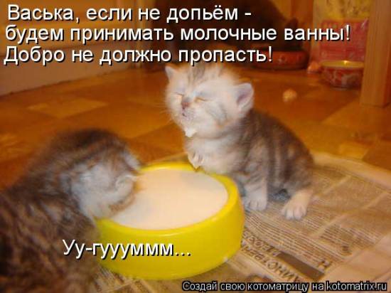 Еще котоматричные коты