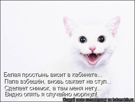 Лучшие котоматрицы… :)