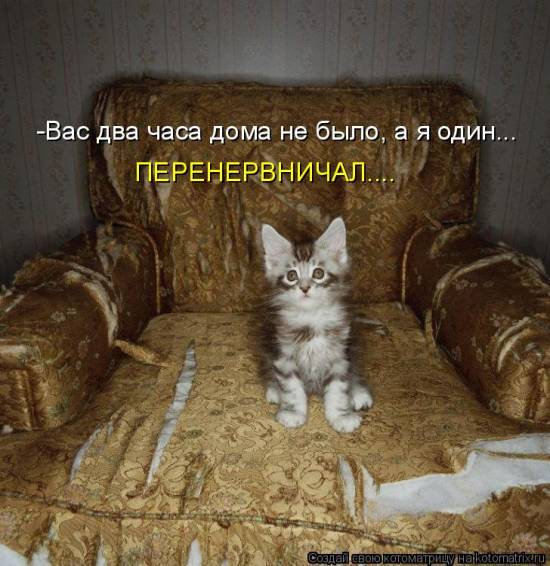 Лучшие котоматрицы… :)