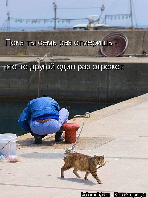 Котоматрицы