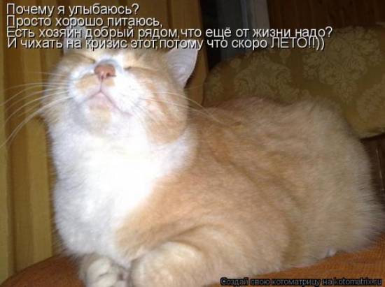 Котоматрицы