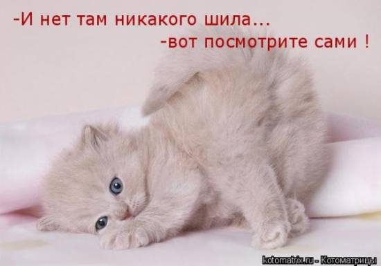 Котоматрицы