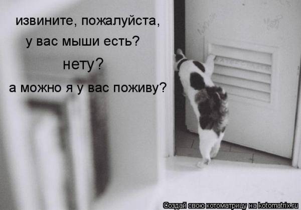 Котоматрицы