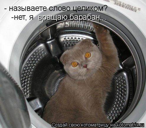 Котоматрицы