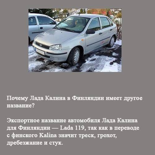 Удивительные факты