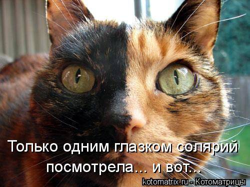 Котоматрицы