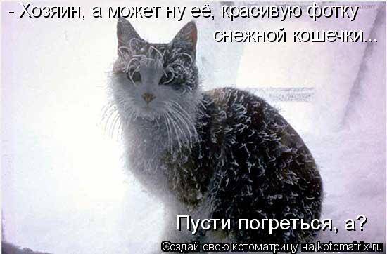 Котоматрицы