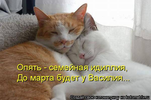 Котоматрицы