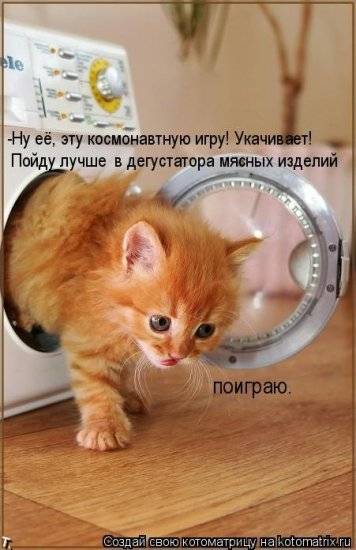 Котоматрицы