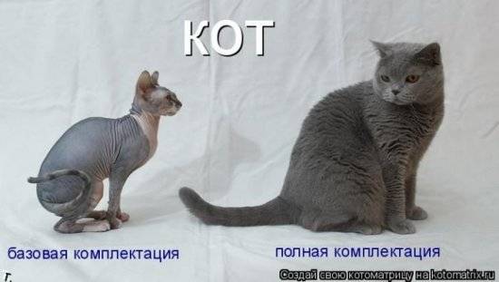 Котоматрицы