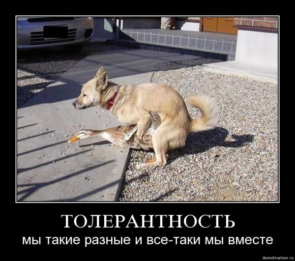 Демотиваторы