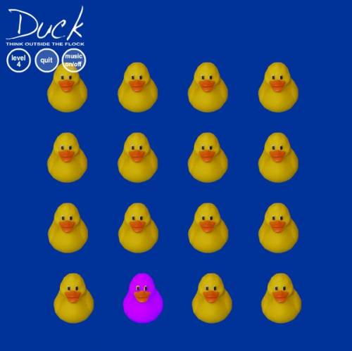 Duck