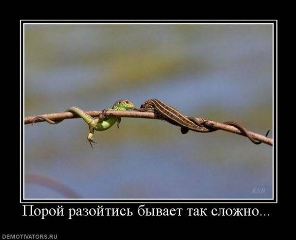 Демотиваторы