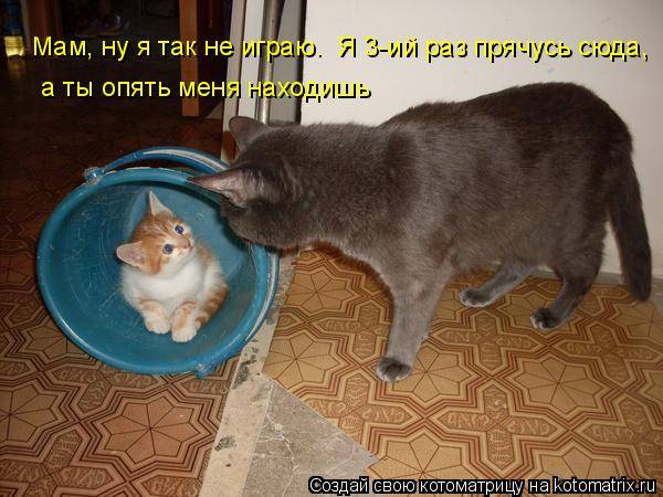 Котоматрицы