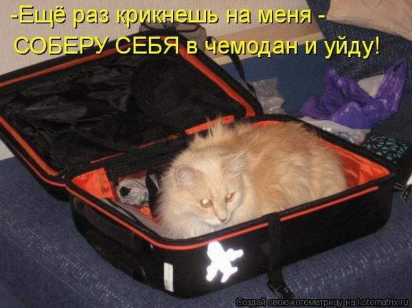 Котоматрицы