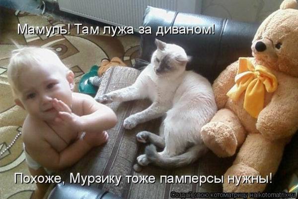 Котоматрицы