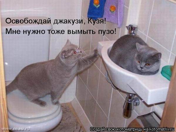 Котоматрицы