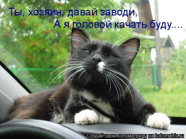 Котоматрицы