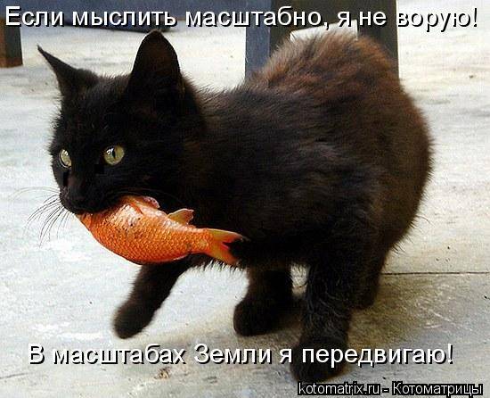 Котоматрицы