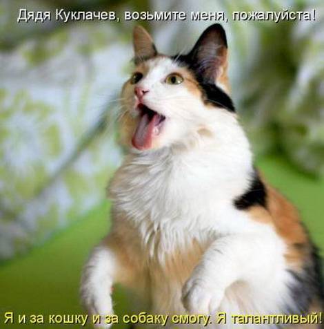 Котоматрицы