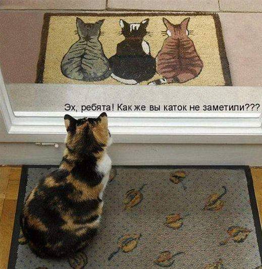 Котоматрицы