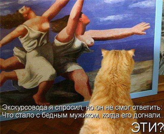 Котоматрицы