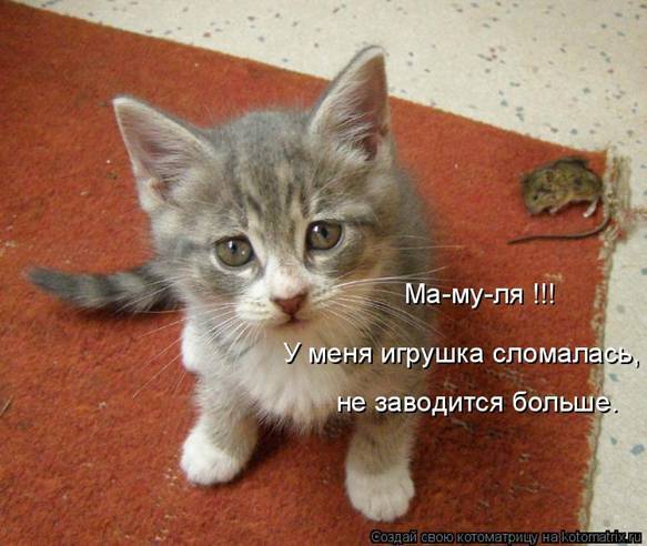 Котоматрицы