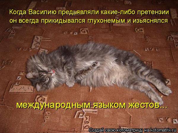 Котоматрицы