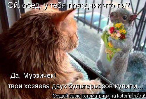 Котоматрицы