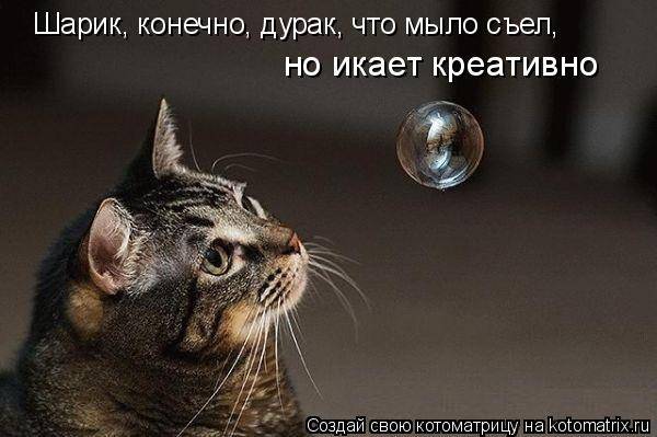 Котоматрицы