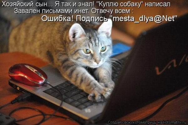 Смешная котоматрица