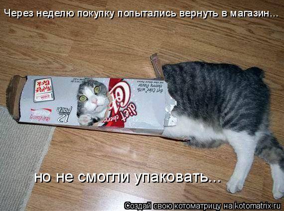 Смешная котоматрица