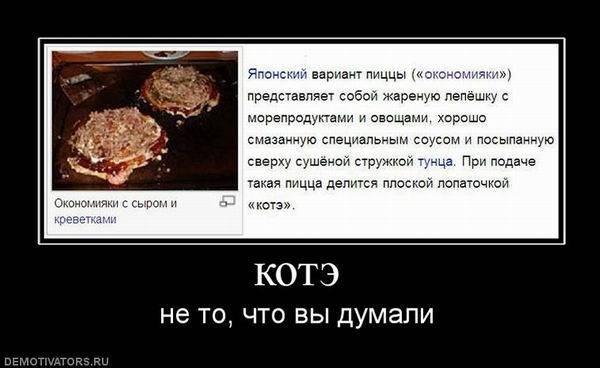 Забавные демотиваторы с котами