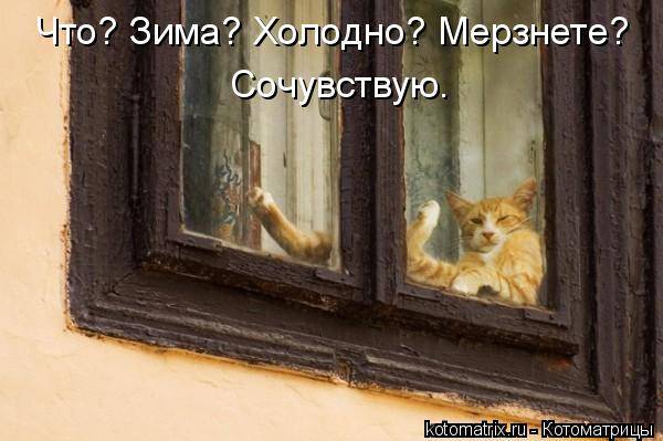 Котоматрица