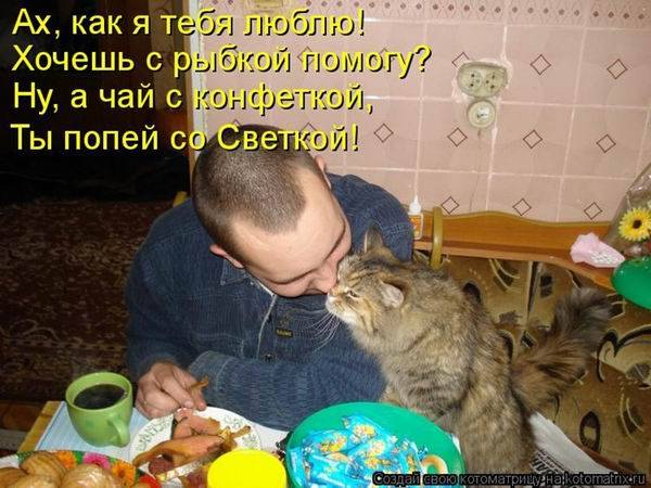 Котоматрицы