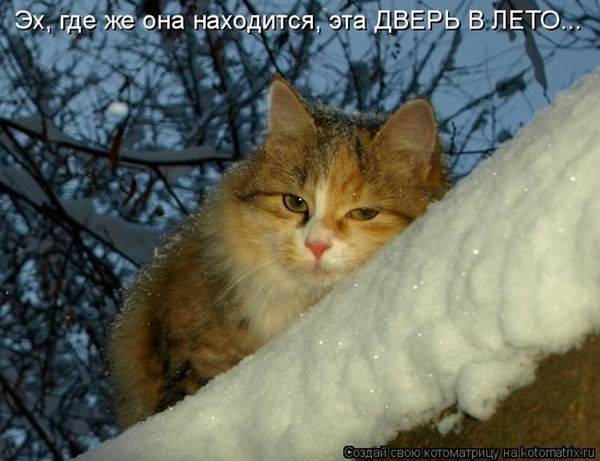 Котоматрицы