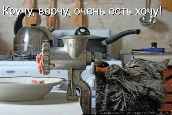 Котоматрицы