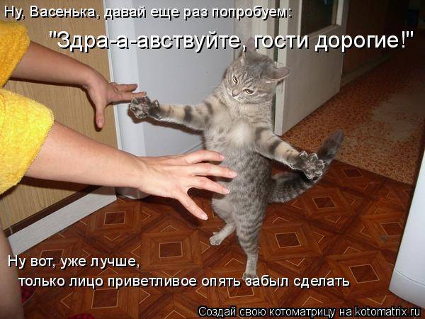 Котоматрицы