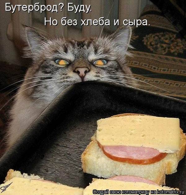 Котоматрицы