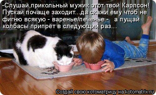 Котоматрицы