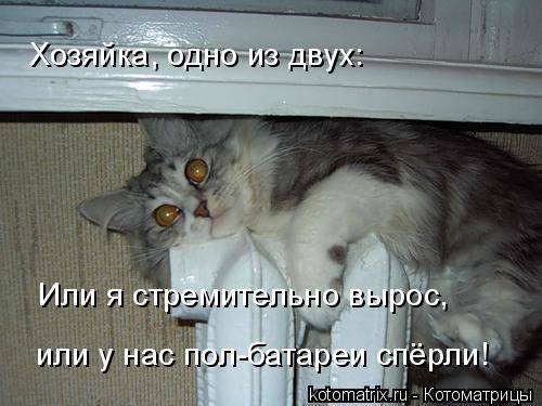 Котоматрицы