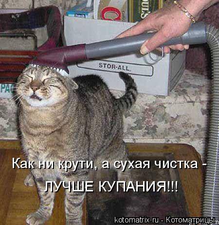 Котоматрицы