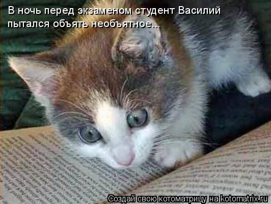 Котоматрицы