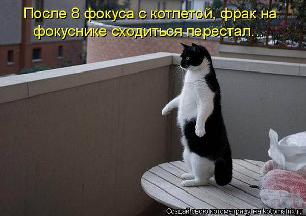 Котоматрицы