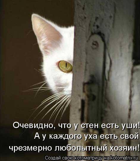 Котоматрицы