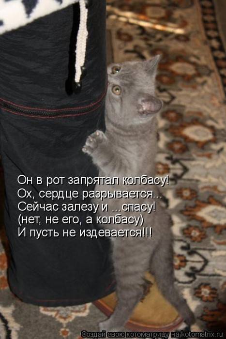 Котоматрицы