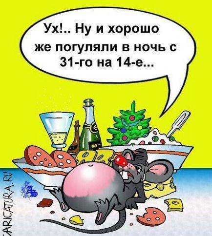 Новогодние карикатуры